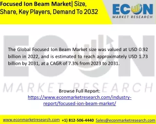 Focused Ion Beam Market