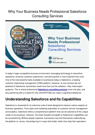 Why Your Business Needs Professional Salesforce Consulting Services