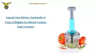 Buy EAGLE PUSH N CHOP CHOPPER Online in India - Eagle Consumer