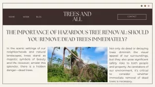 The Importance of Hazardous Tree Removal