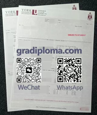 How to buy a fake York University transcript online?