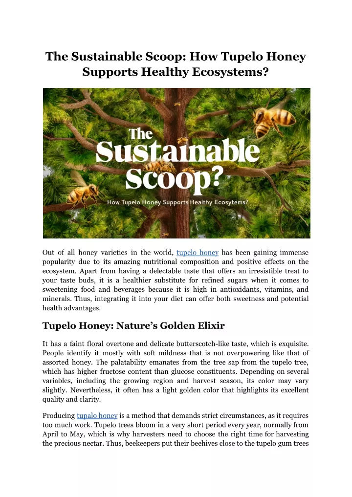the sustainable scoop how tupelo honey supports