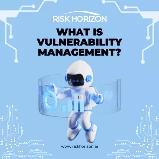 What is Vulnerability Management?