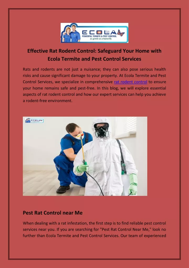 effective rat rodent control safeguard your home