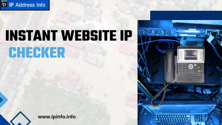 instant website ip checker