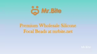 Premium Wholesale Silicone Focal Beads at mrbite.net