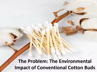 Cotton Buds Made from Eco-Friendly Cotton: The Multifaceted All-Rounder