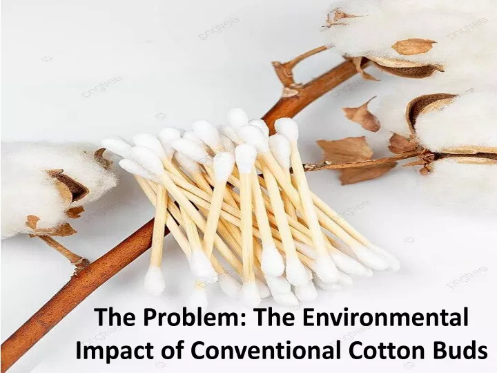 the problem the environmental impact of conventional cotton buds