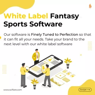White Label Fantasy Sports Software In India