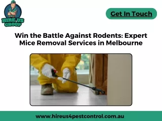 Win the Battle Against Rodents Expert Mice Removal Services in Melbourne