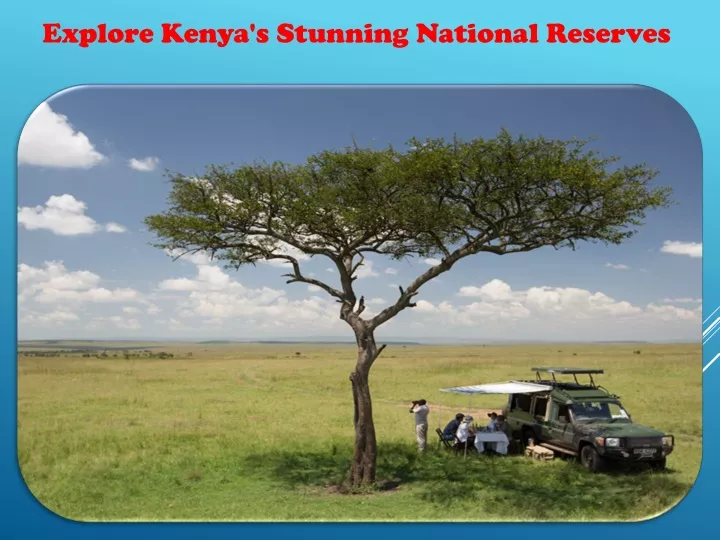 explore kenya s stunning national reserves