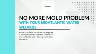 MidAtlantic Mold And Water Damage (pdf)