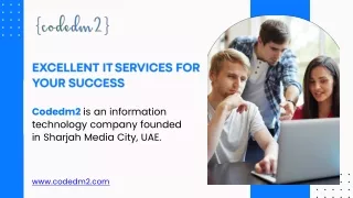 Excellent IT services for your success