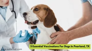 5 Essential Vaccinations For Dogs In Pearland, TX