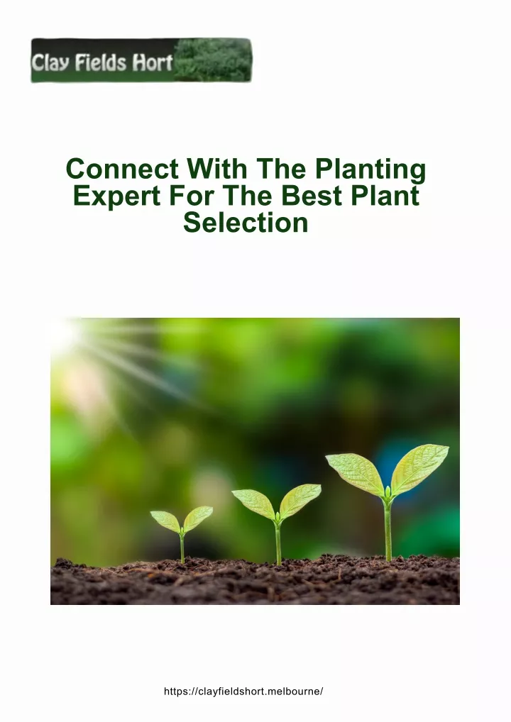 connect with the planting expert for the best