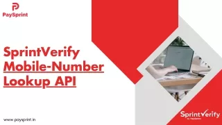 Mobile Number Lookup API