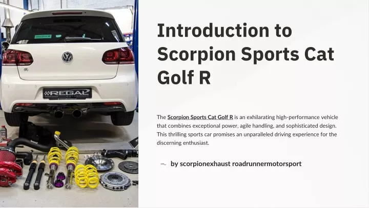 introduction to scorpion sports cat golf r