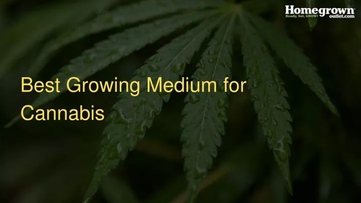 best growing medium for cannabis