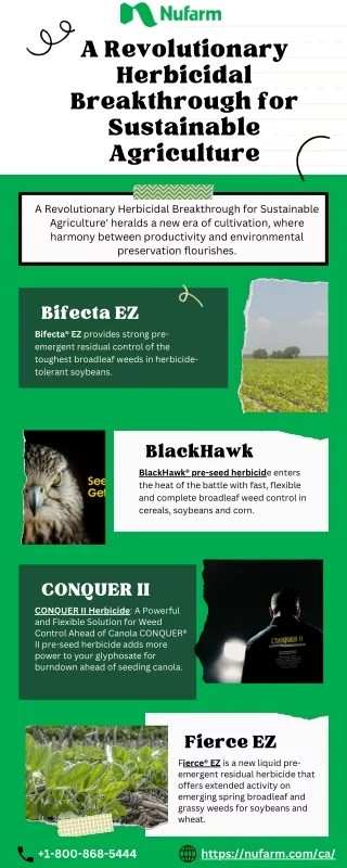 Plant Superpowers How They Adapt and Survive Education Infographic in Green White Neat Collage Style