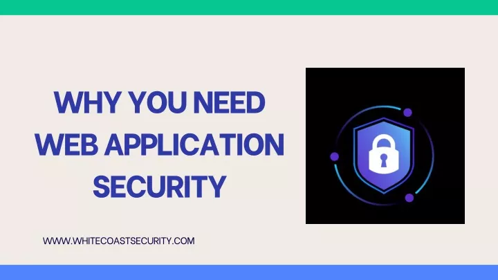 why you need web application security