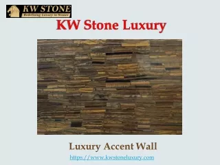 Luxury Accent Wall
