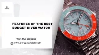 Features of the Best Budget Diver Watch