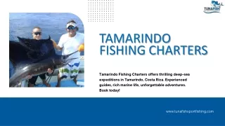 tamarindo fishing charters