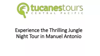 Experience the Thrilling Jungle Night Tour in Manuel Antonio