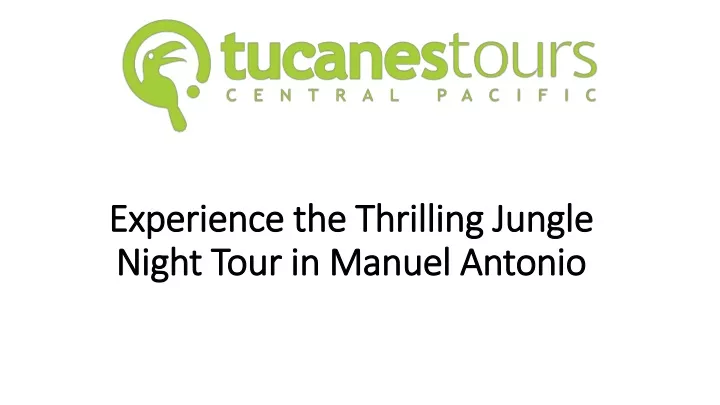 experience the thrilling jungle night tour in manuel antonio