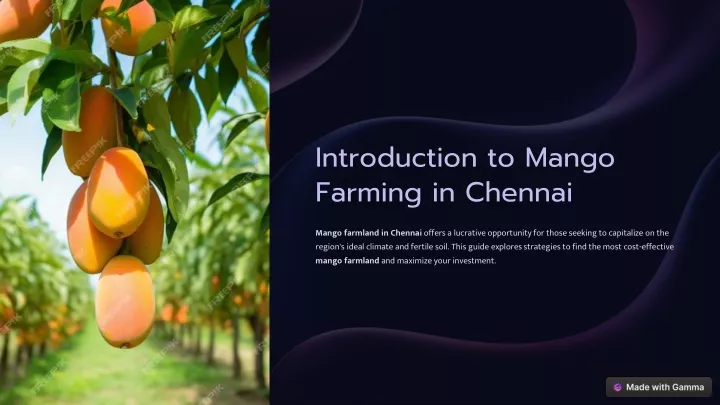 introduction to mango farming in chennai