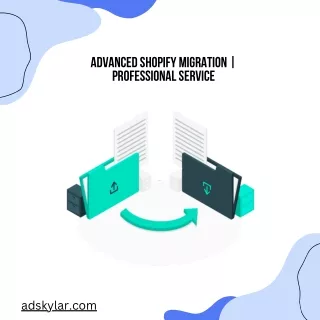 Advanced Shopify Migration  Professional Service