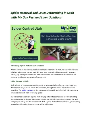 Spider Removal and Lawn Dethatching in Utah with My Guy Pest and Lawn Solutions
