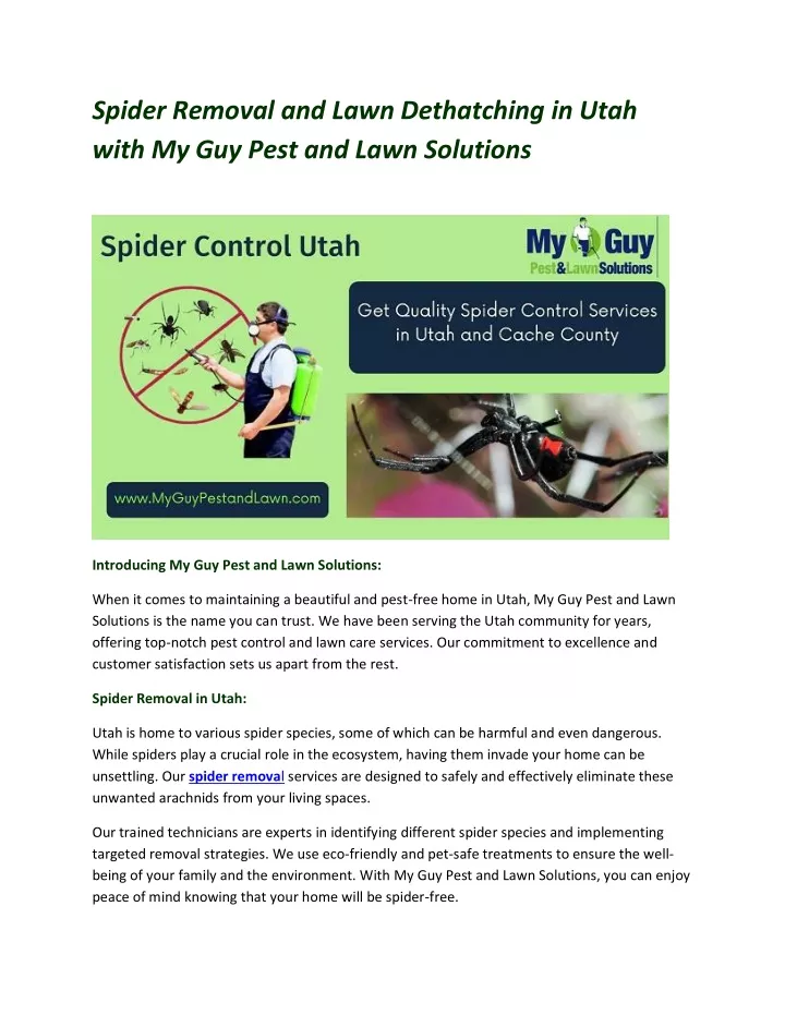 spider removal and lawn dethatching in utah with