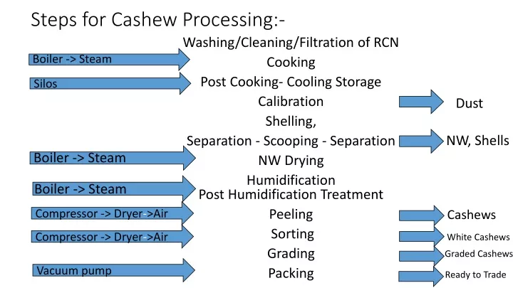 steps for cashew processing