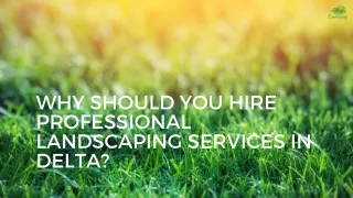 Why Should You Hire Professional Landscaping Services in Delta