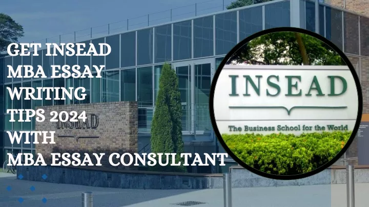 insead mba essay sample