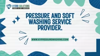 Pressure And Soft Washing Service Provider.