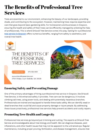The Benefits of Professional Tree Services