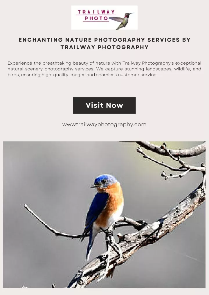 enchanting nature photography services