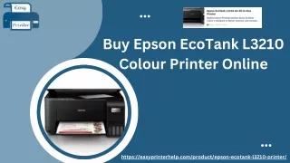 Buy Epson EcoTank L3210 Colour Printer Online