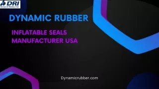 Dynamic Rubber inflatable seals manufacturer usa 25.05.2024