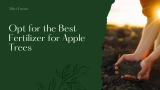 Opt for the Best Fertilizer for Apple Trees