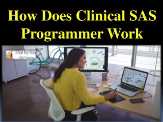 How Does Clinical SAS Programmer Work