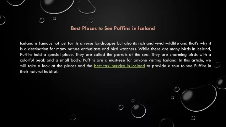 best places to see puffins in iceland