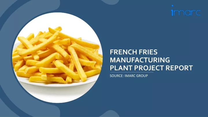 french fries manufacturing plant project report