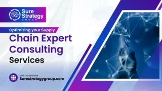 Optimizing Your Supply Chain Expert Consulting Services