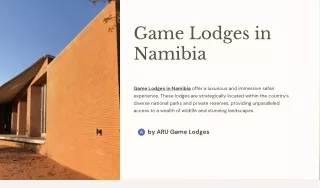 Namibia's Best Game Lodges Your Gateway to an Unforgettable Safari