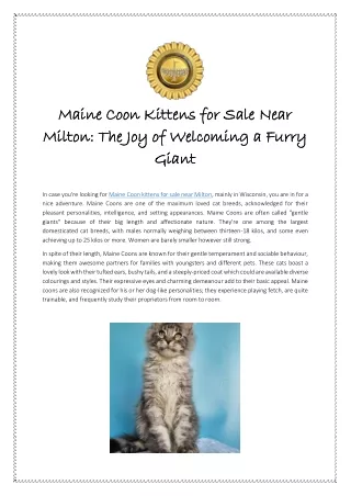 Maine Coon Kittens for Sale Near Milton