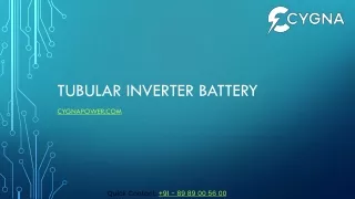 Tubular Inverter Battery
