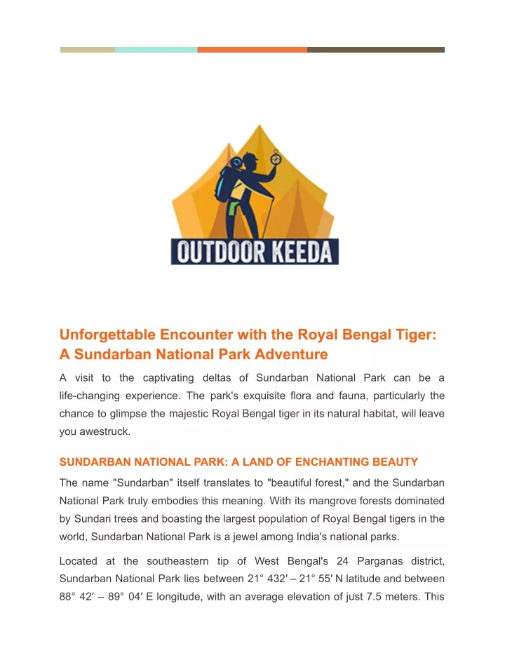 unforgettable encounter with the royal bengal